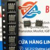 13842-IC