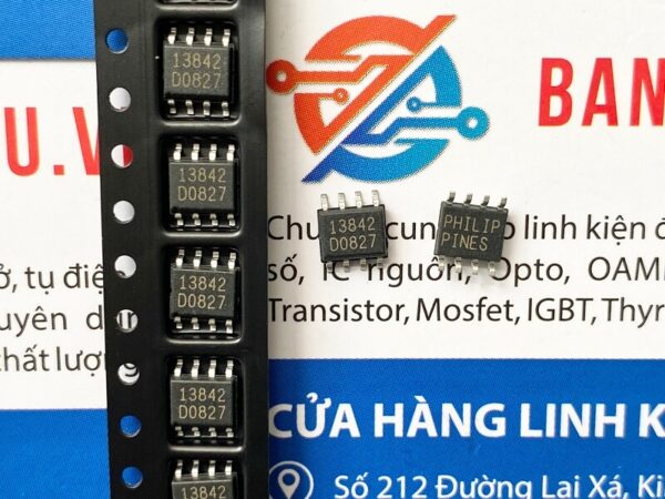 13842-IC