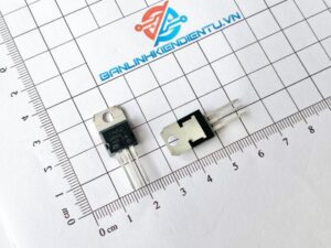TYN812