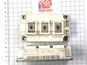 BSM300GB60DLC