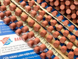 Cầu chì tròn T10A
