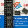 A3955SLBT