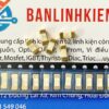 Cầu Chì Sứ SMD 500mA 125V LF500mA