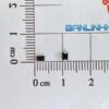 S1M
